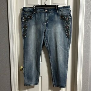 NWOT ZANA DI stretch floral embroidery jeans 24W zanadi